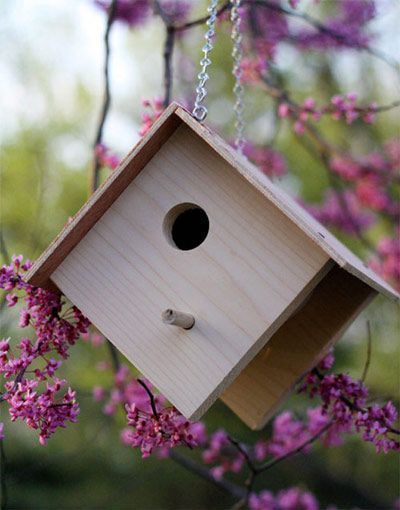 nichoir-oiseaux-diy