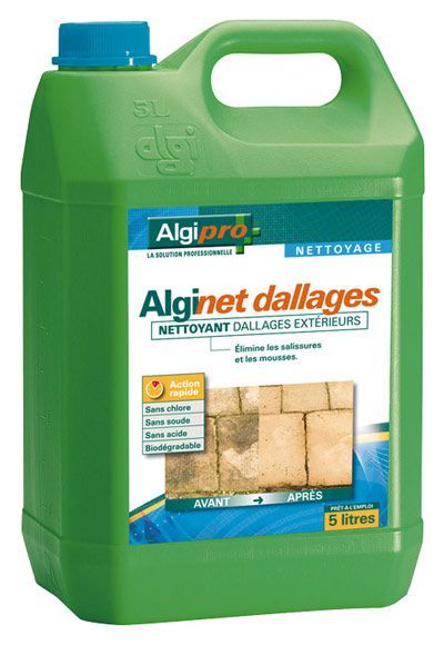 Alginet dallage