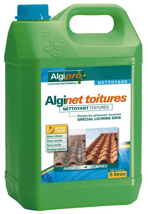 Alginet toiture