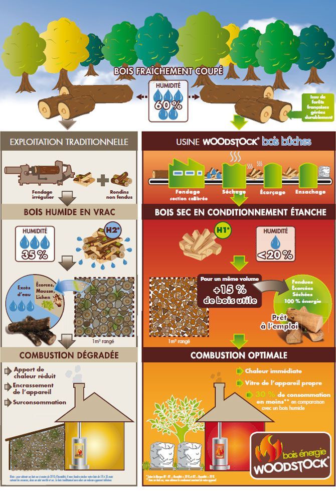 infographie woodstock