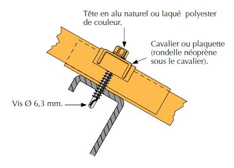 Vis tetalu P56 TK12