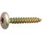 Vis MUSTAD Panelvit FC Tête de penture - Torx - Ø7x60mm - Chromitting - Boite de 100 - PV057A700600C8C
