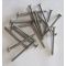 Clous annelés Inox A4 vents forts 2,5 x 50 mm - DACCL10