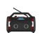 Radio de chantier ROCKPRO - RC000RP2