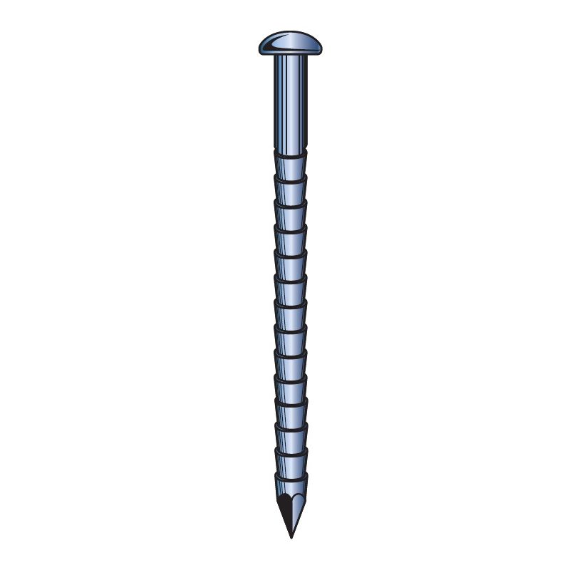 Pointes inox annelée tête bombé