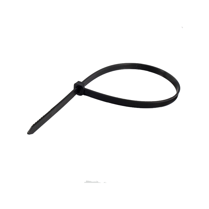 Collier de câblage Nylon RAM