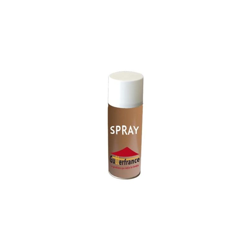 Bombe de peinture pour retouche