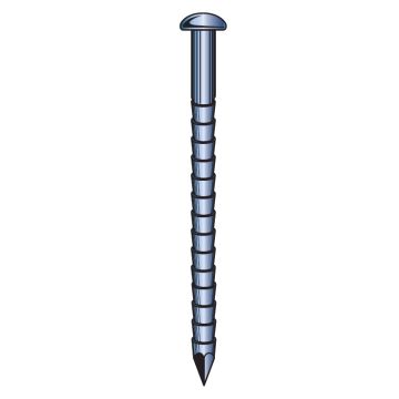Pointes inox annelée tête bombé