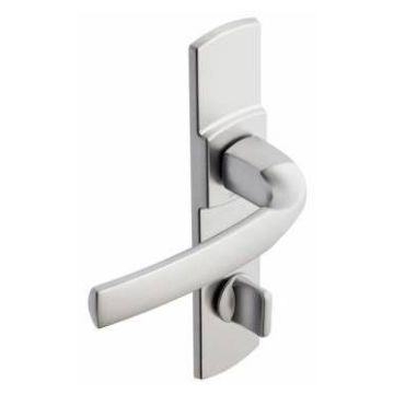 Ensemble de porte sur plaque Artis BEZAULT Entraxe 165mm - Inox brossé - Bec de cane WC - 865254