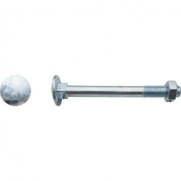 Boulon tête ronde collé carré (TRCC) Zingué Blanc - 16 x 180 mm - Boite de 10 - LENNIE - BTRCC1618002B