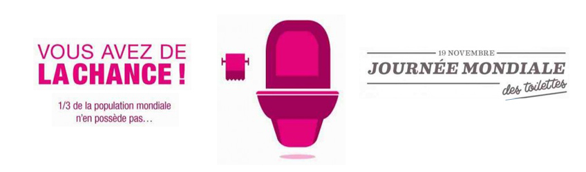 Aujourd'hui, c'est la Journée mondiale des toilettes