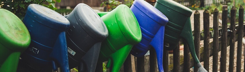 Comment s’occuper de son jardin pendant une canicule ?