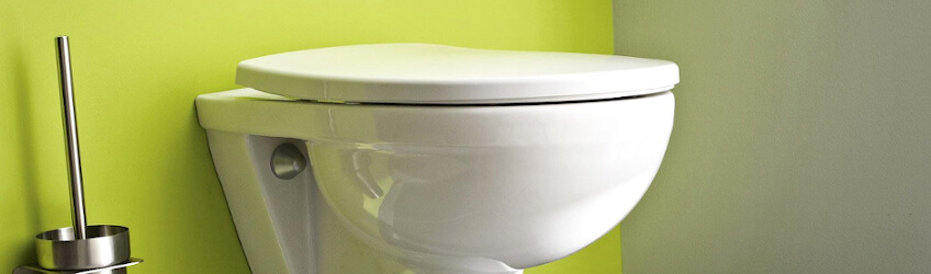 Journée mondiale des toilettes sur Distriartisan