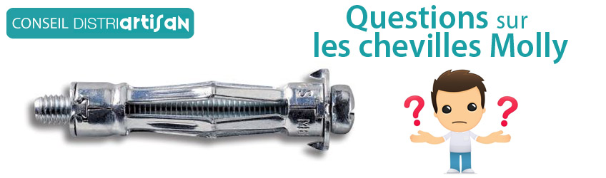 Questions sur les chevilles Molly