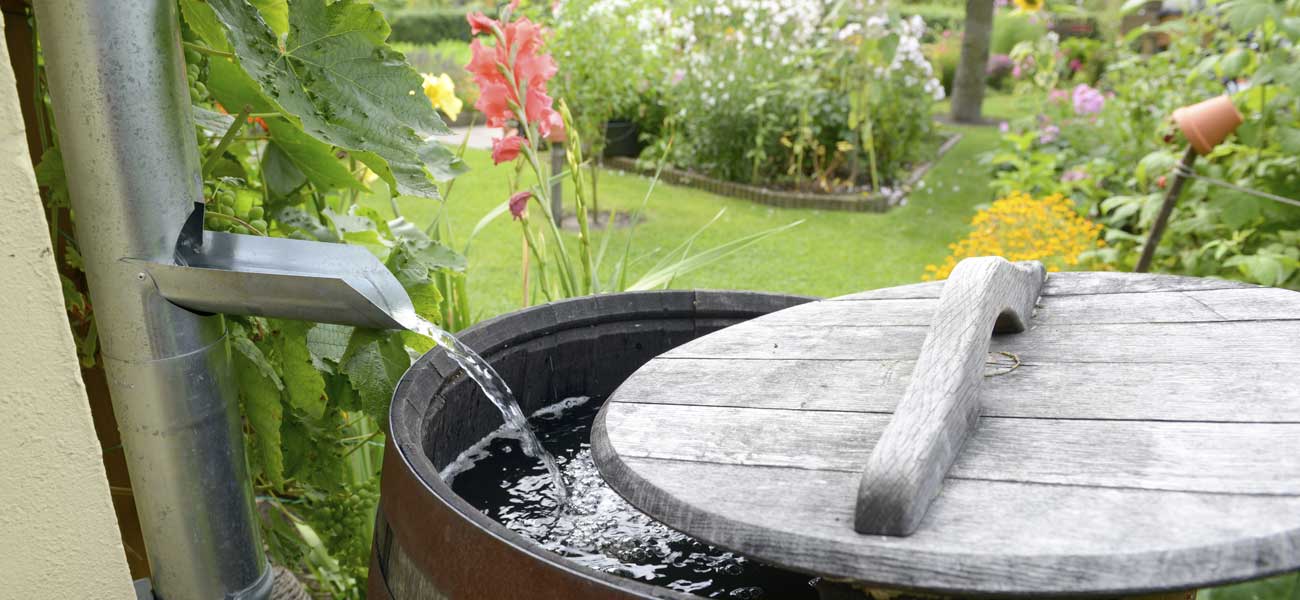 Pourquoi opter pour un récupérateur d'eau ?