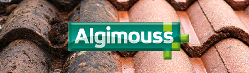Algimouss : nettoyage, traitement et protection de vos bâtiments. 