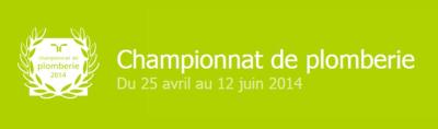 Qui sera élu « meilleur plombier de France » ?