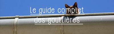 La gouttière : guide complet