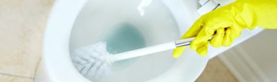Nettoyage de WC très entartré