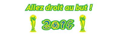 Jouanel fête la Coupe du Monde !