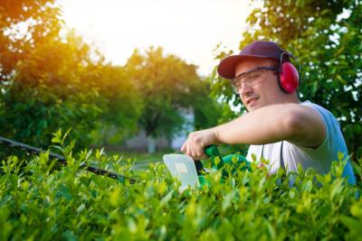Comment entretenir son taille-haie ?