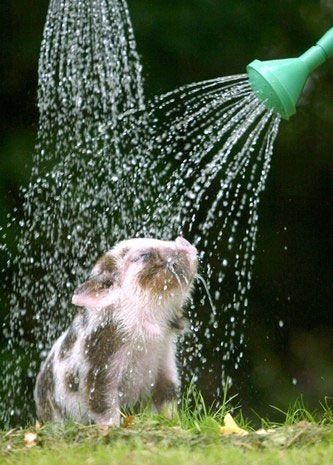 CARRELER UNE DOUCHE EN 3 ETAPESA