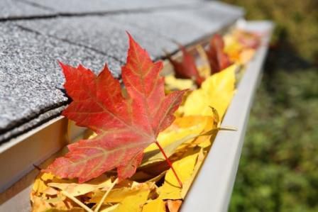 En automne et en hiver votre gouttière est soumise à rude épreuve